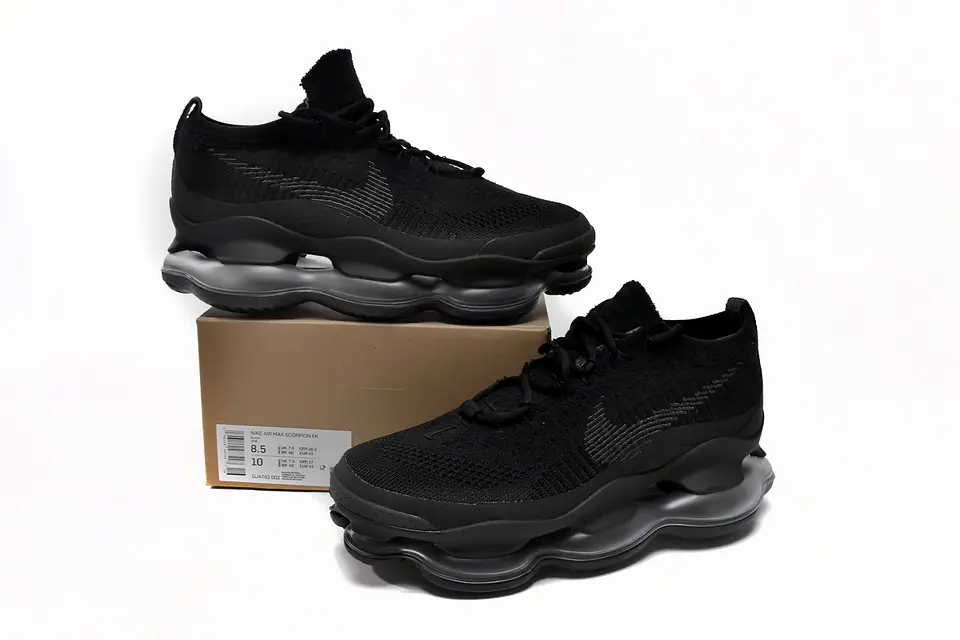 Nike Air Max Scorpions Fk Triple Black 5