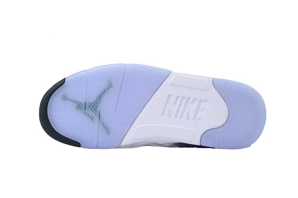 Nike Jordan 5 Retro Grape  2
