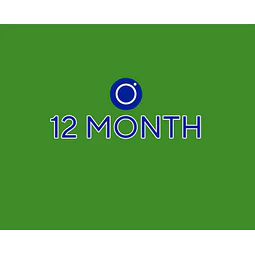 Radiosity 12 meses