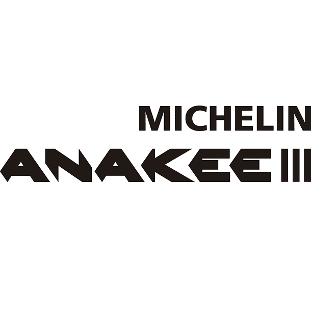 MICHELIN ANAKEE III 110/80R19 59V F TL 5