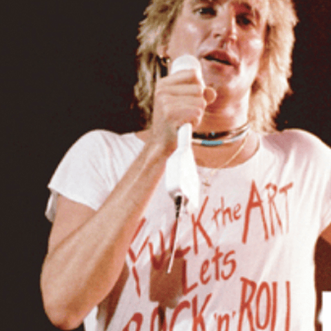 ROD STEWART - THE ART