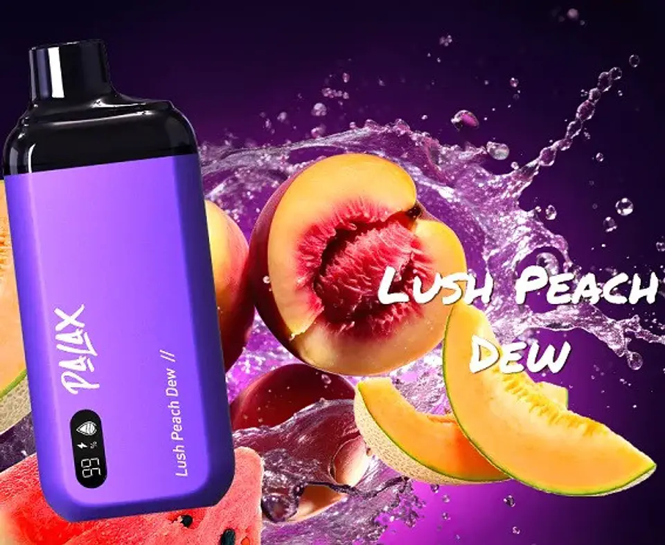 VAPORIZADOR DESECHABLE PALAX LUSH PEACH DEW 0% NIC 8000 PUFFS 1