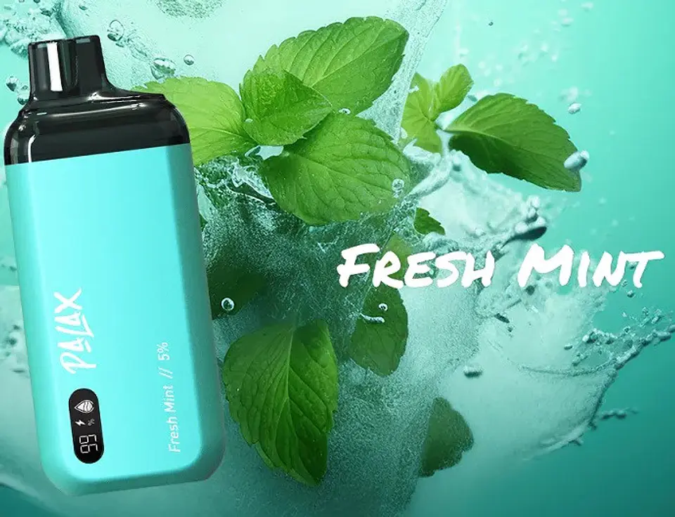 VAPORIZADOR DESECHABLE PALAX FRESH MINT 0% NIC 8000 PUFFS 1