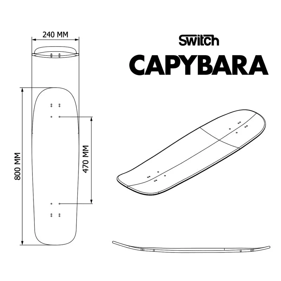 Switch Boards Capybara Sunset longboard Deck
