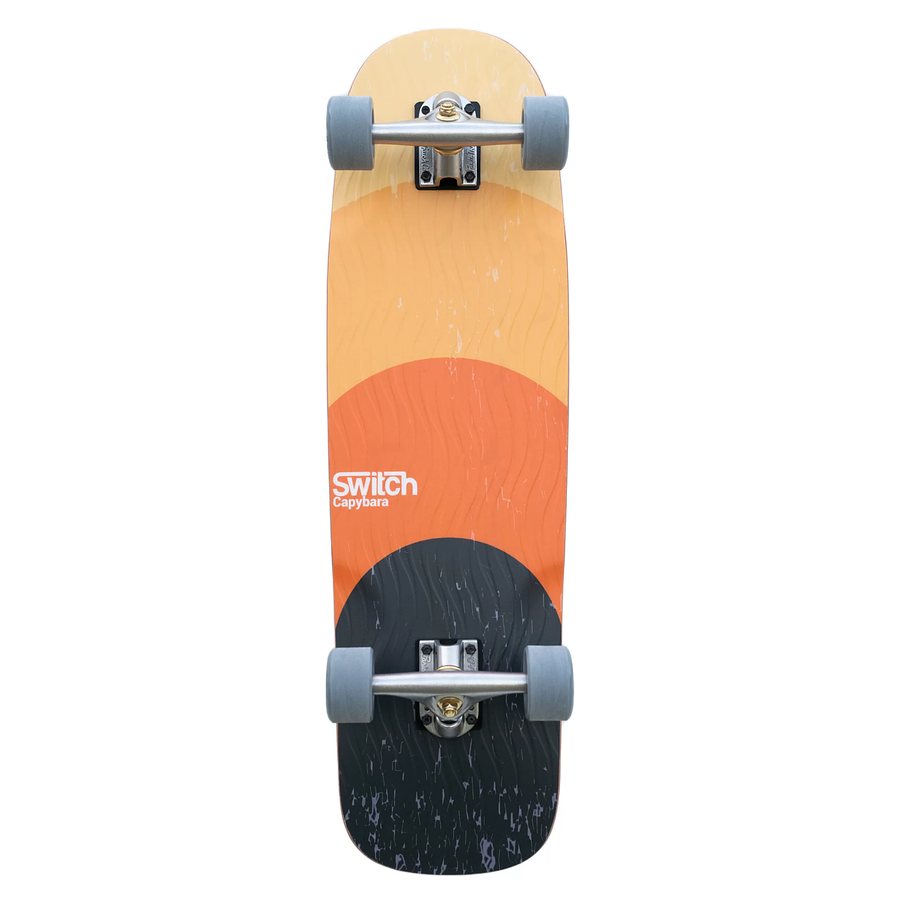 Switch Boards Capybara Sunset longboard Deck