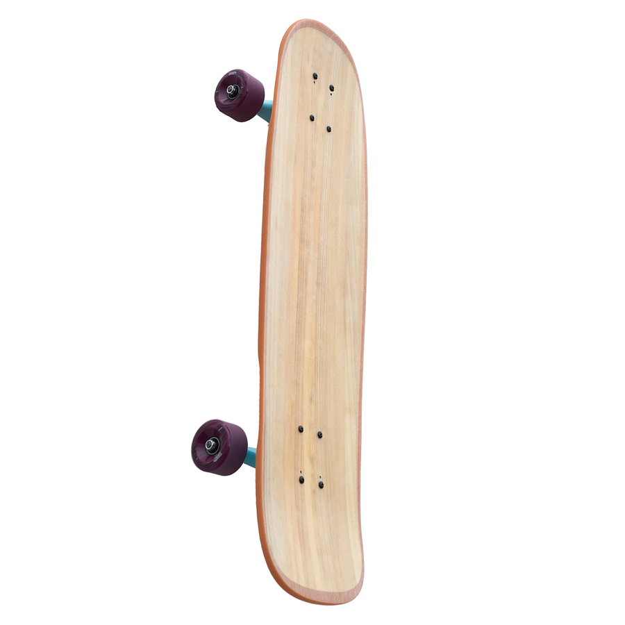 Switch Boards Capybara Sunset longboard Deck