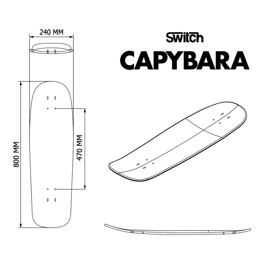 Switch Boards Capybara Abstract longboard Deck