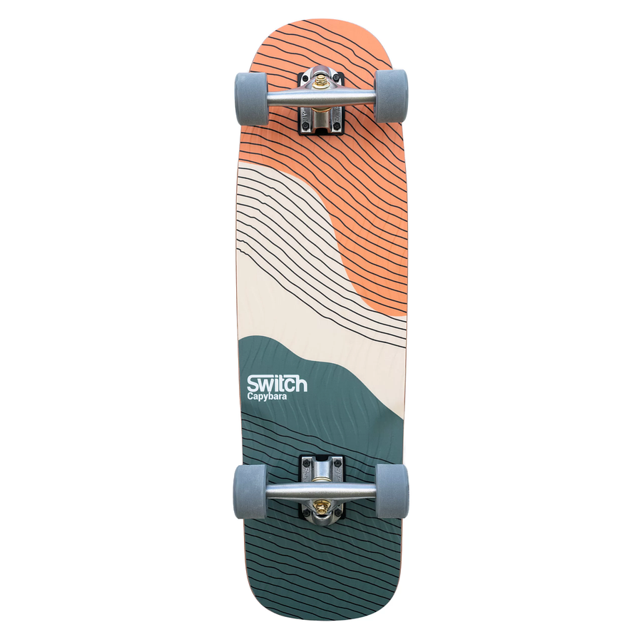 Switch Boards Capybara Bubble longboard Deck