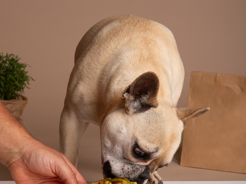 Dietas hipoalergenicas