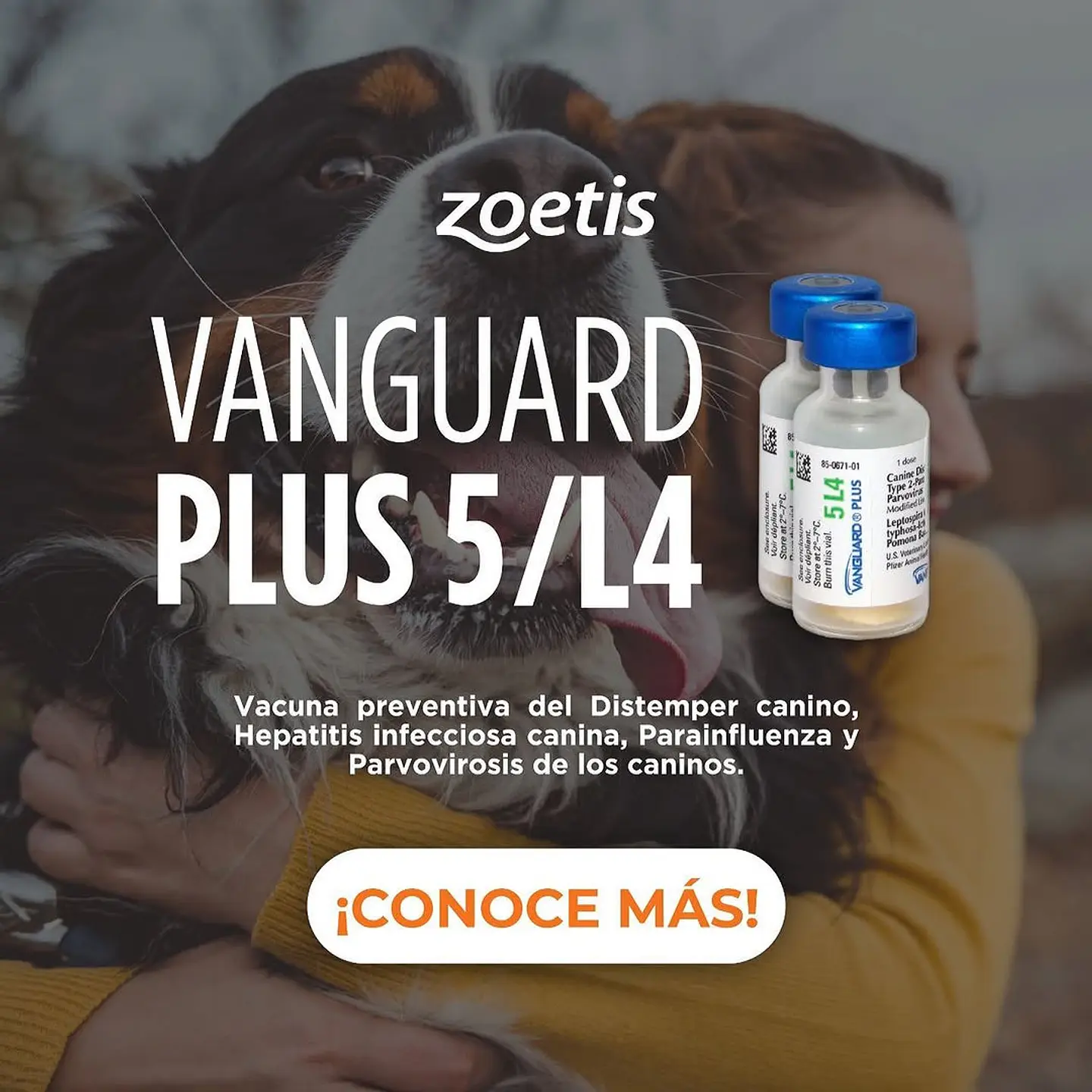 Vacuna Canino Vanguard Plus 5L4 (Recojo en tienda) 1