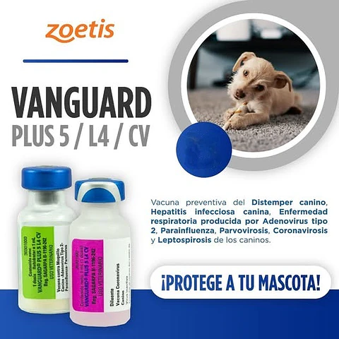Vacuna Canino Vanguard 5L4 CV (Recojo en tienda)
