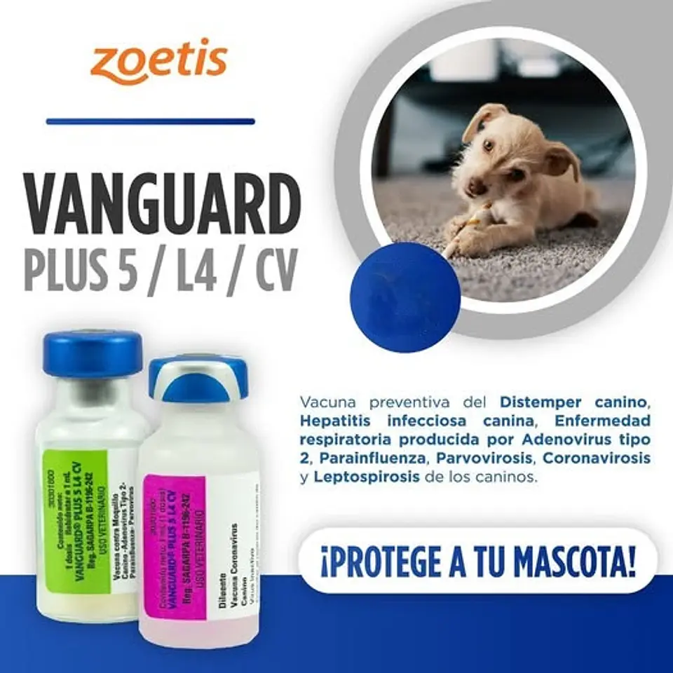 Vacuna Canino Vanguard 5L4 CV (Recojo en tienda) 1