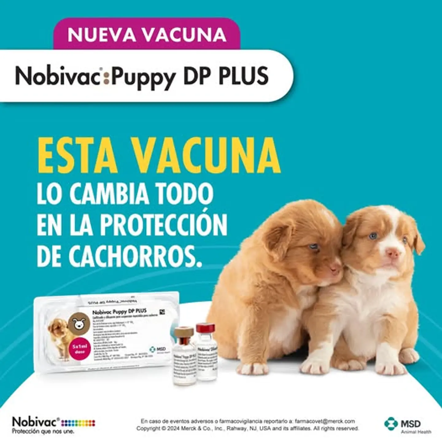 Vacuna Cachorros Novibac Puppy DP Plus (Recojo en tienda) 1