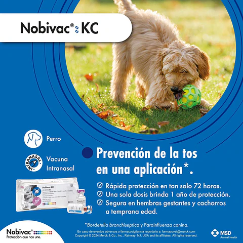 Vacuna canina Novibac KC (Bordetella)