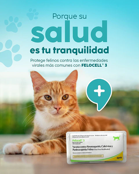 Vacuna Felinos Felocell 3 