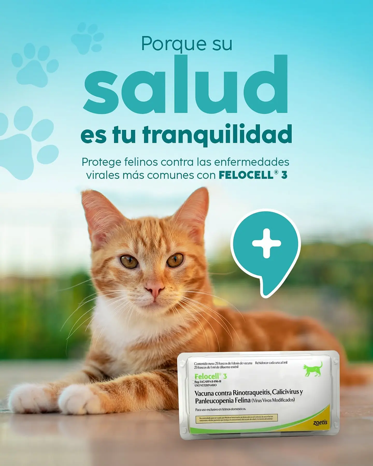 Vacuna Felinos Felocell 3  1