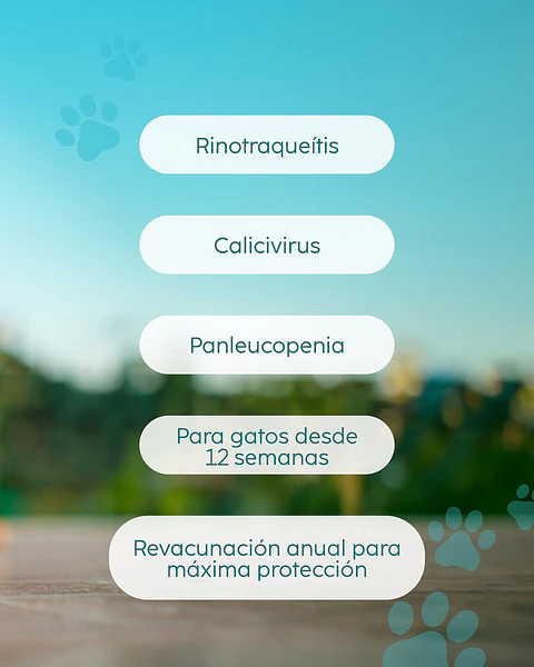 Vacuna Felinos Felocell 3 