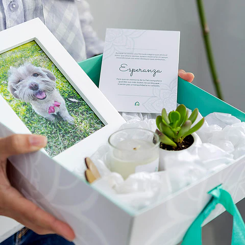 Servicio de Cremación + Urna Esfera (Recojo en tienda) 