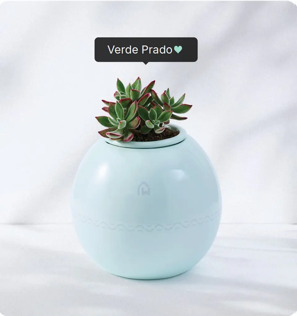 Servicio de cremación + Urna Esfera Plus (Recojo en Tienda) 2