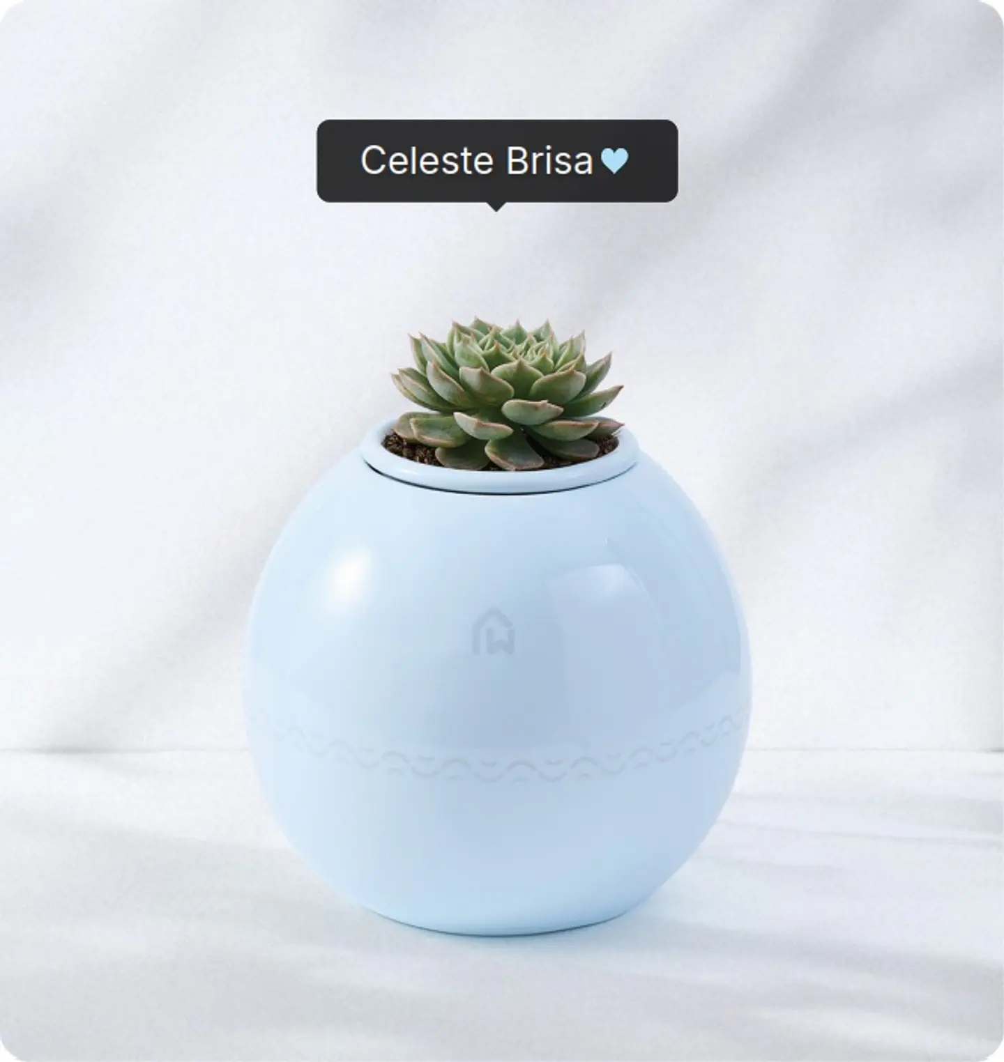 Servicio de cremación + Urna Esfera Plus (Recojo en Tienda) 3