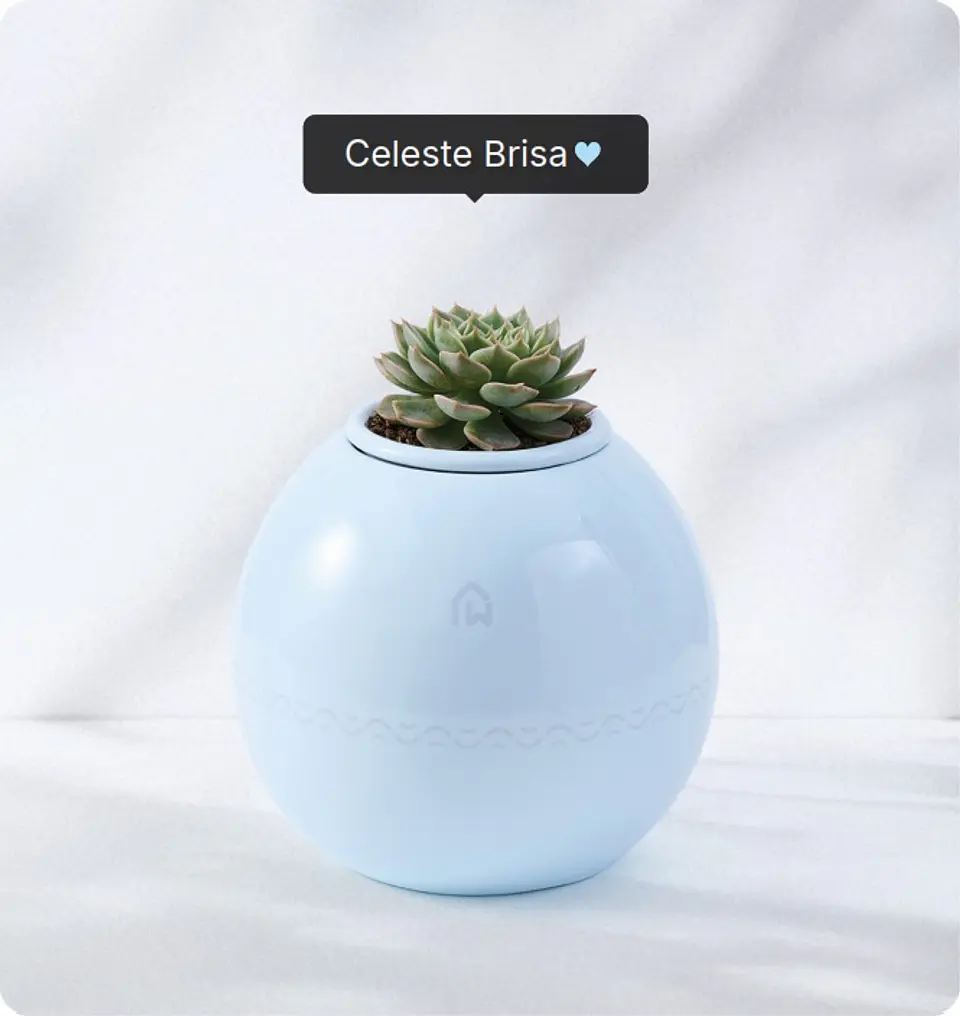 Servicio de cremación + Urna Esfera Plus (Recojo en Tienda) 3