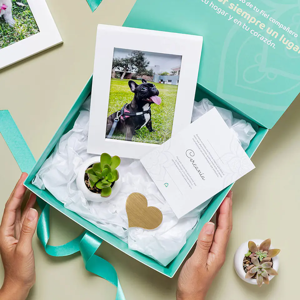 Servicio de Cremación + Urna (Recojo en tienda)  2