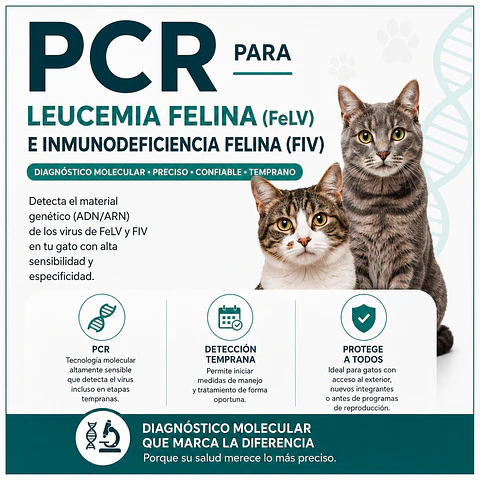 Descarte 'PCR' de Inmunodeficiencia y Leucemia Felina  (Recojo en Tienda)