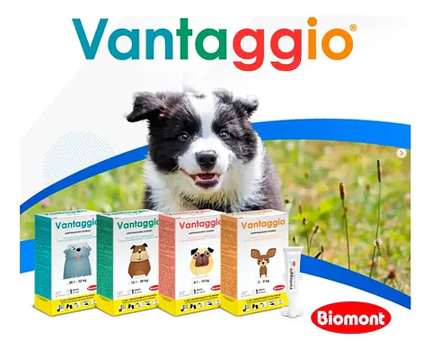 Vantaggio 20.1 a 32 kg (4ml) – Pipeta antipulgas para perros