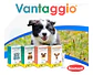 Vantaggio 20.1 a 32 kg (4ml) – Pipeta antipulgas para perros - Miniatura 2