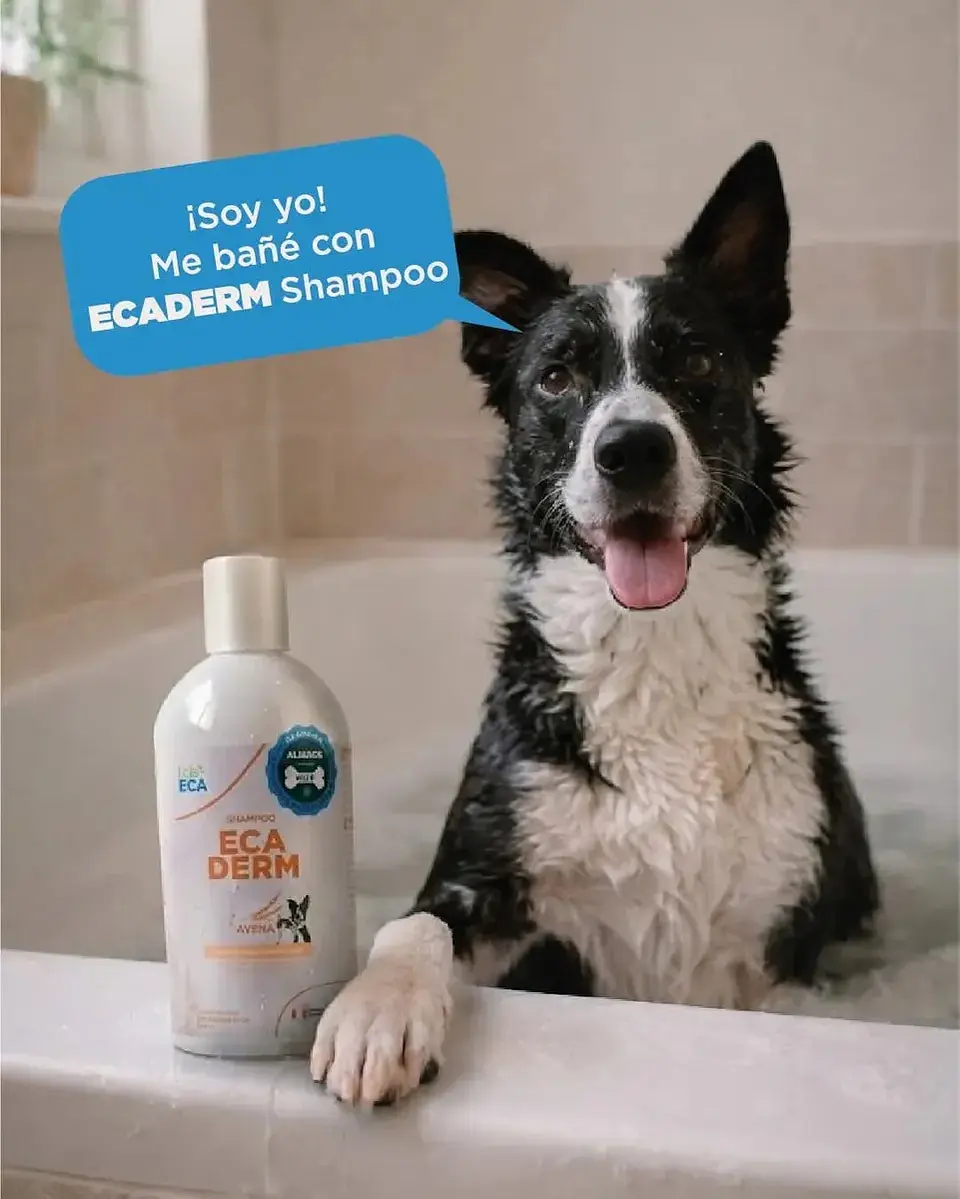 Shampoo de Limpieza Avena Perro/Gato  EcaDerm 4