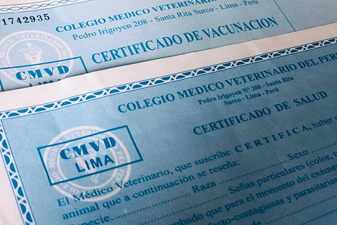 Certificado de Vacunación para Mascotas