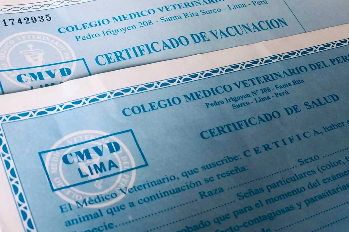 Certificado de Vacunación para Mascotas 1