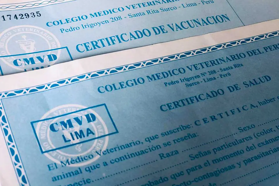 Certificado de Vacunación para Mascotas 1