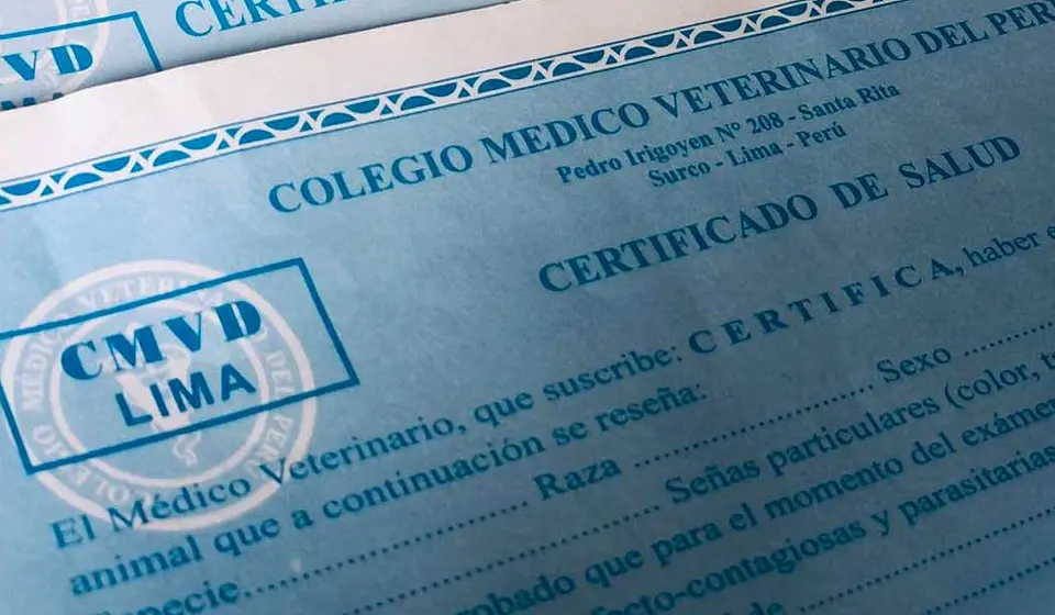 Certificado de Salud para Mascotas 1