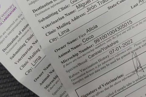 Certificados de Observación Clínica por Mordedura 