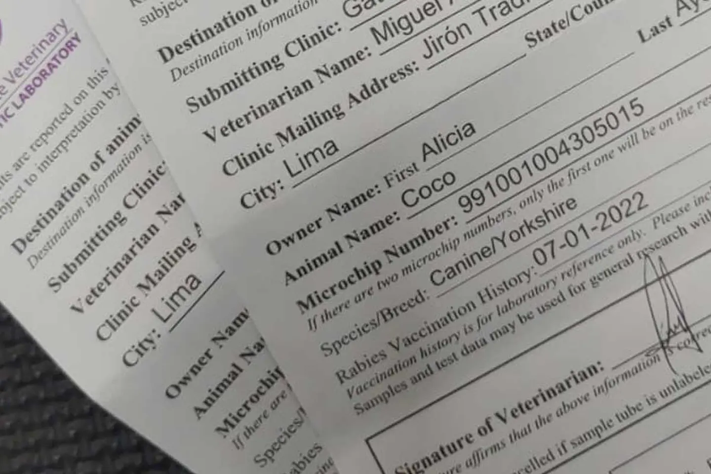 Certificados de Observación Clínica por Mordedura  1