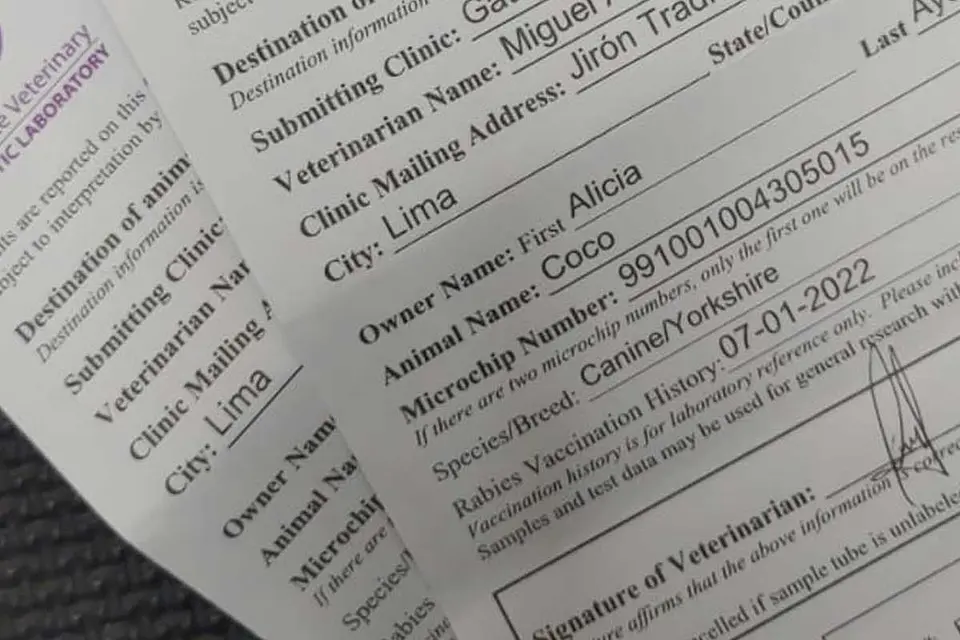 Certificados de Observación Clínica por Mordedura  1