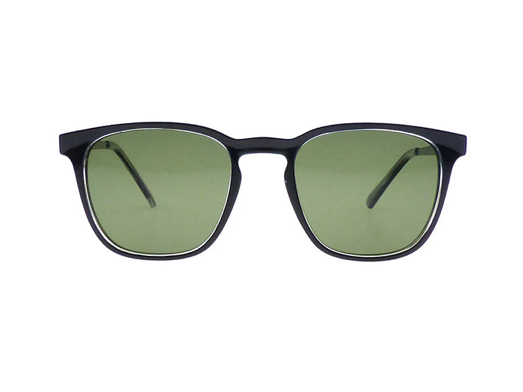 VERTE  Polarizado VE395 1