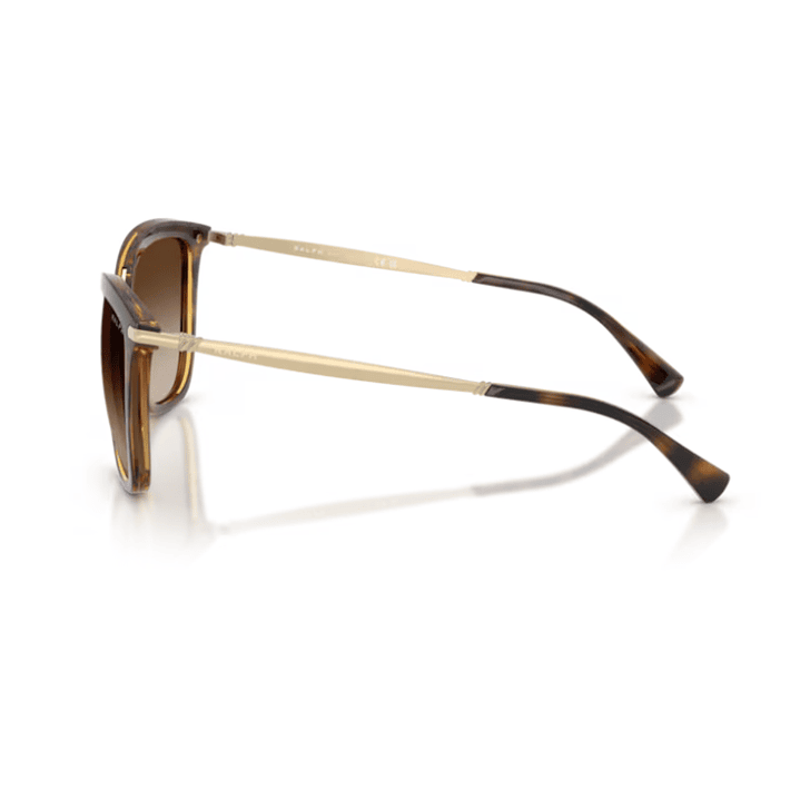 RALPH - 500313 - Havana oscuro brillante 2