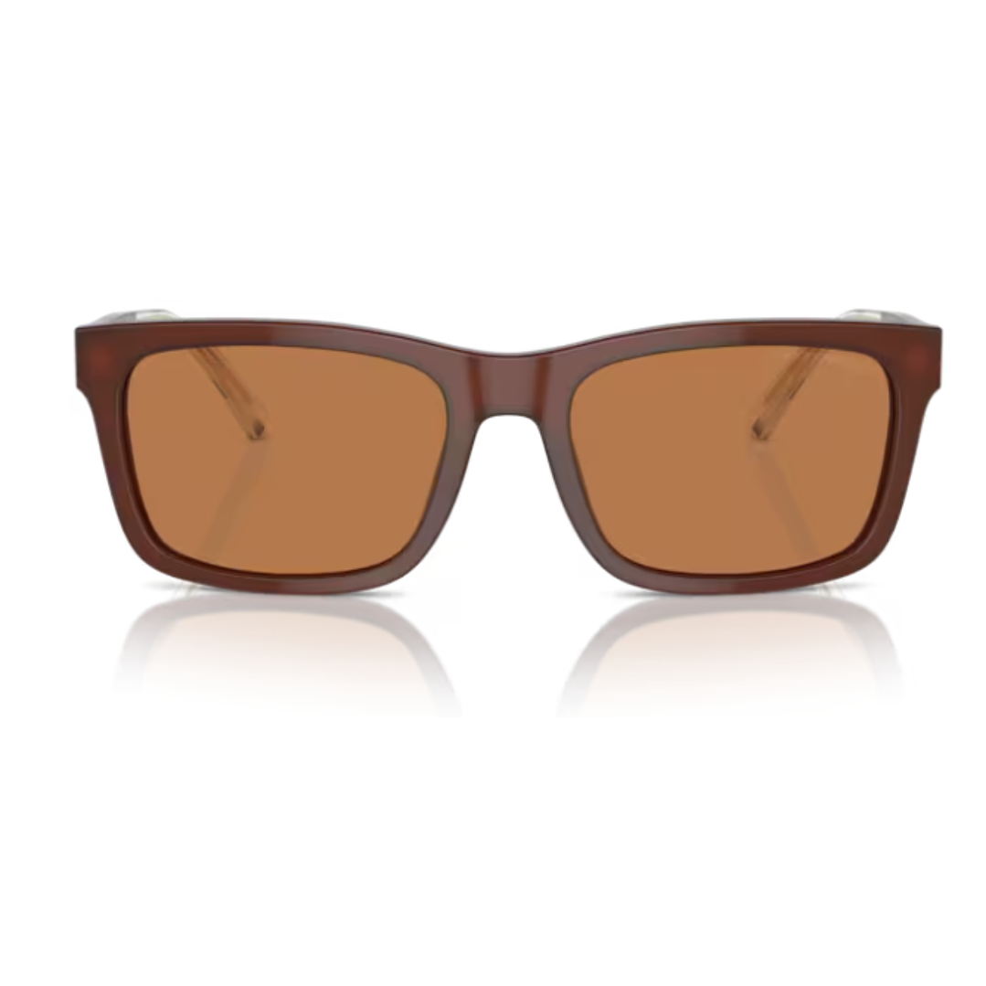 EMPORIO ARMANI -4224-Marrón Opalino Brillante 3