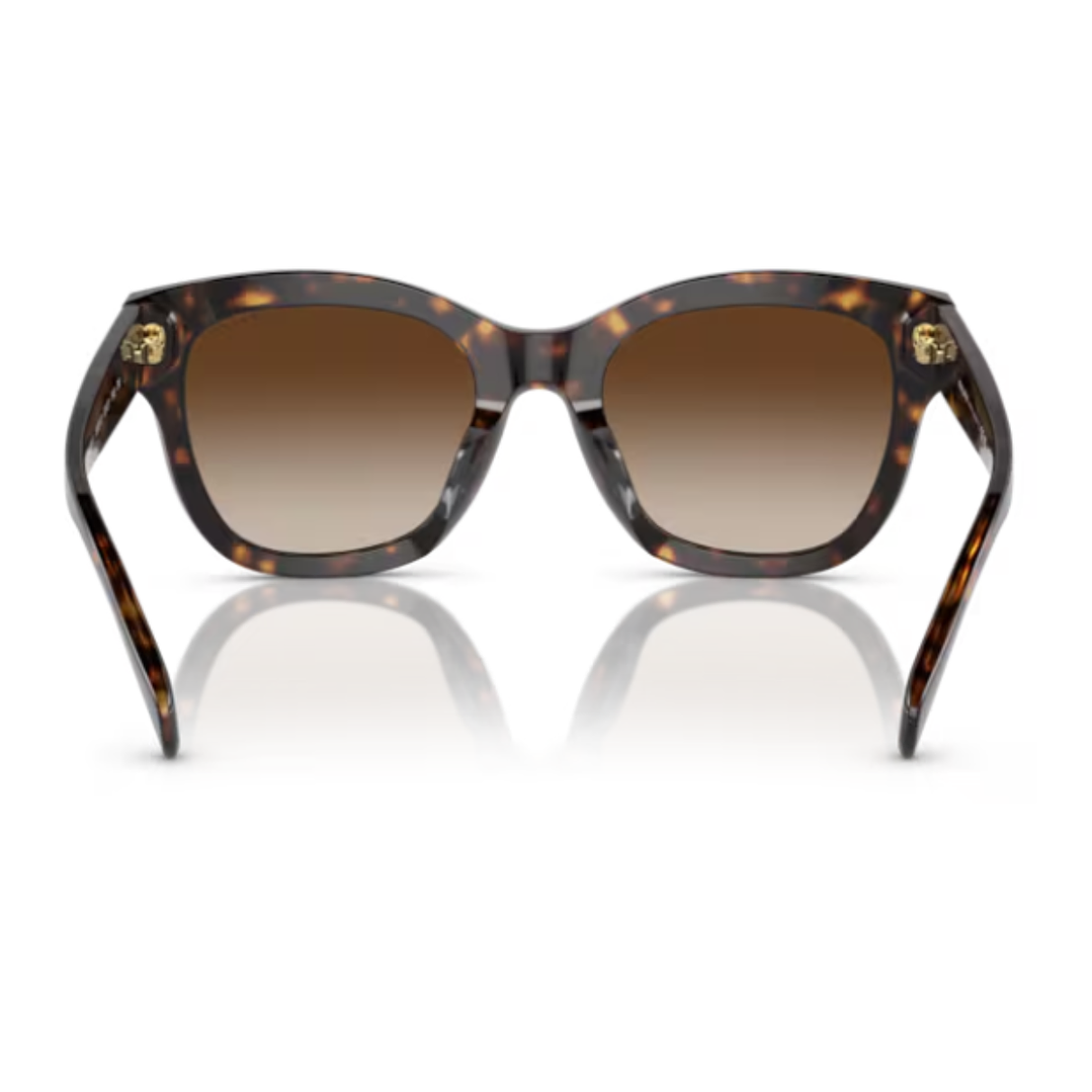 RALPH - 5301U - Havana oscuro brillante 4