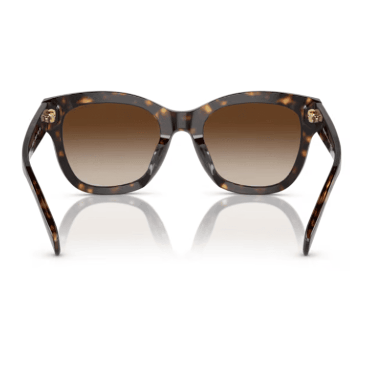 RALPH - 5301U - Havana oscuro brillante 4