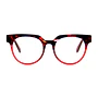 Tortoise Rojo