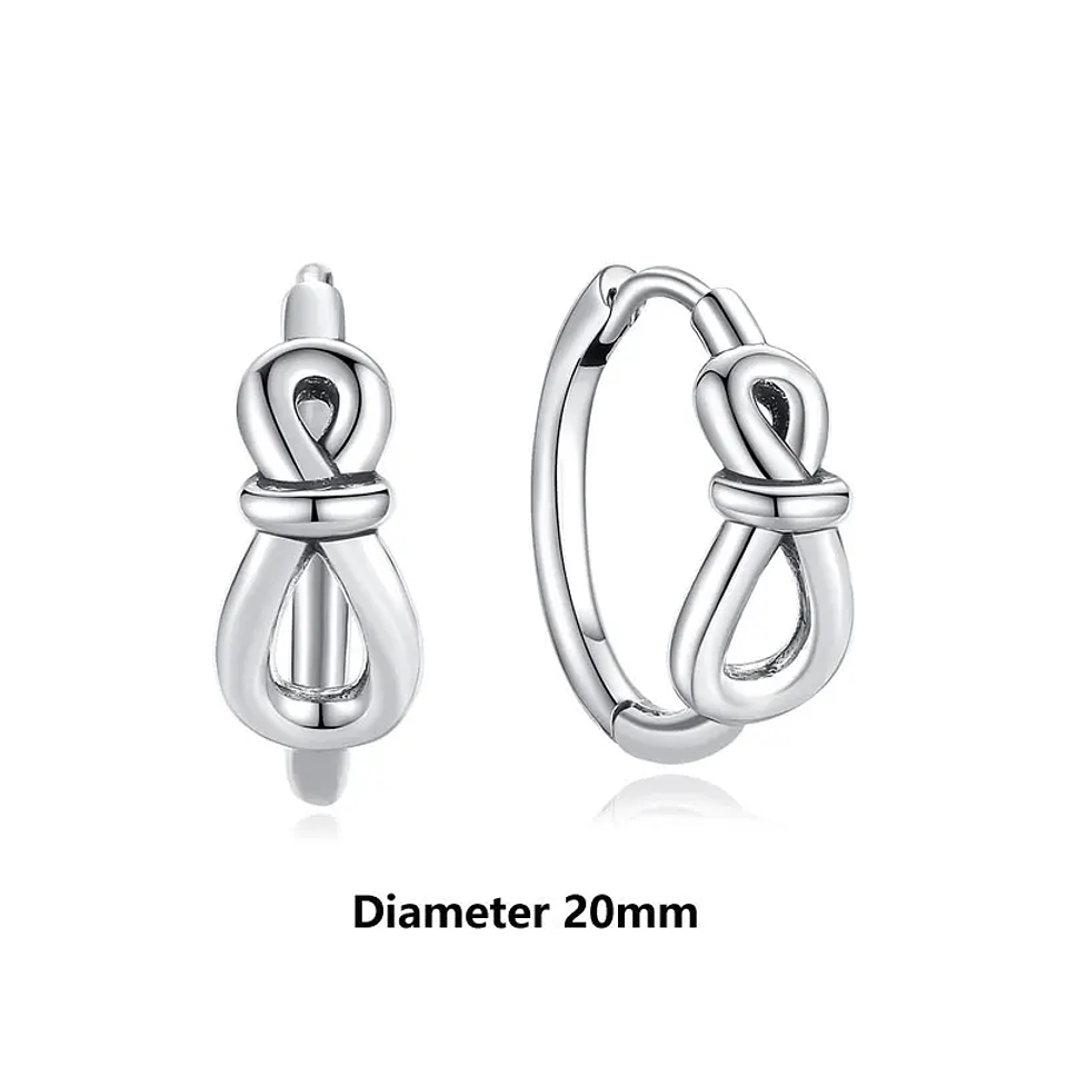 Original 925 Sterling Silver Earrings 2026 Stud Hoop Crystal Earings For Women 15