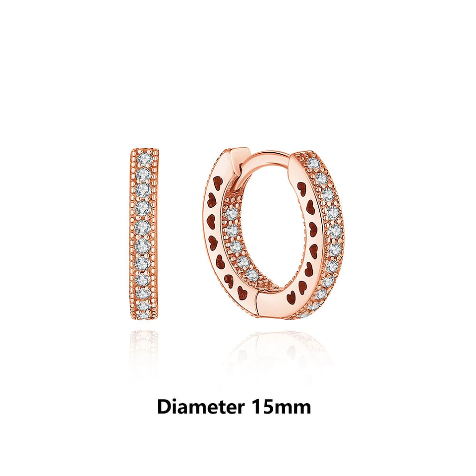 Original 925 Sterling Silver Earrings 2026 Stud Hoop Crystal Earings For Women 20