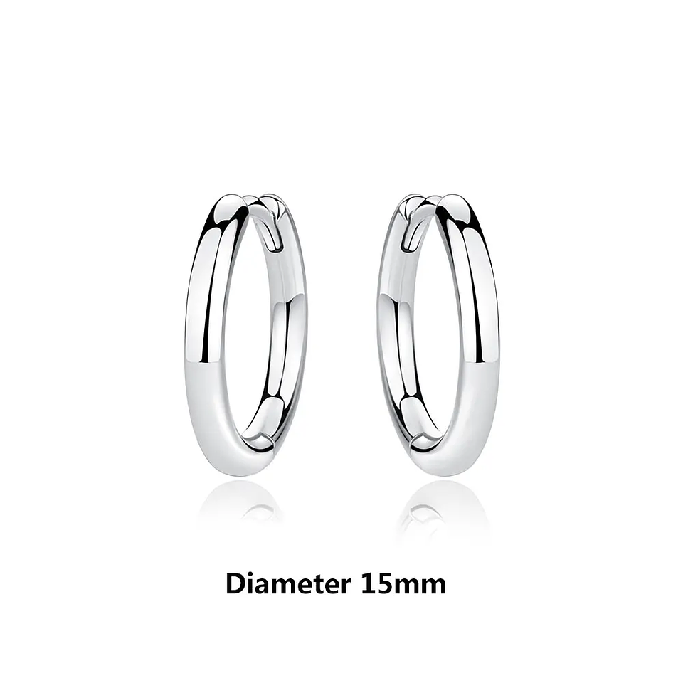 Original 925 Sterling Silver Earrings 2026 Stud Hoop Crystal Earings For Women 30