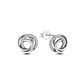 Original 925 Sterling Silver Earrings 2026 Stud Hoop Crystal Earings For Women - Miniatura 33