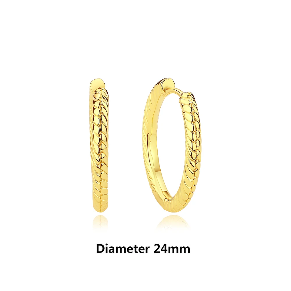 Original 925 Sterling Silver Earrings 2026 Stud Hoop Crystal Earings For Women 36