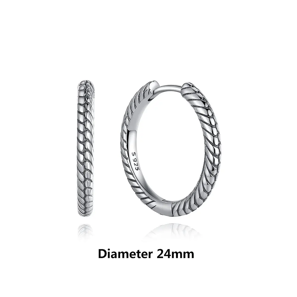 Original 925 Sterling Silver Earrings 2026 Stud Hoop Crystal Earings For Women 46