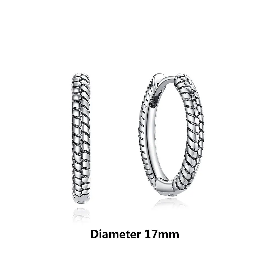 Original 925 Sterling Silver Earrings 2026 Stud Hoop Crystal Earings For Women 56